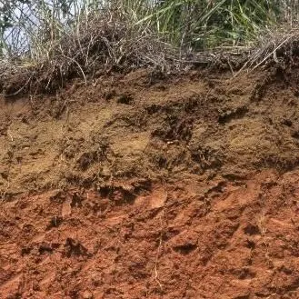 thumbnail for publication: Soils and Fertilizers for Master Gardeners: Soil Physical Characteristics